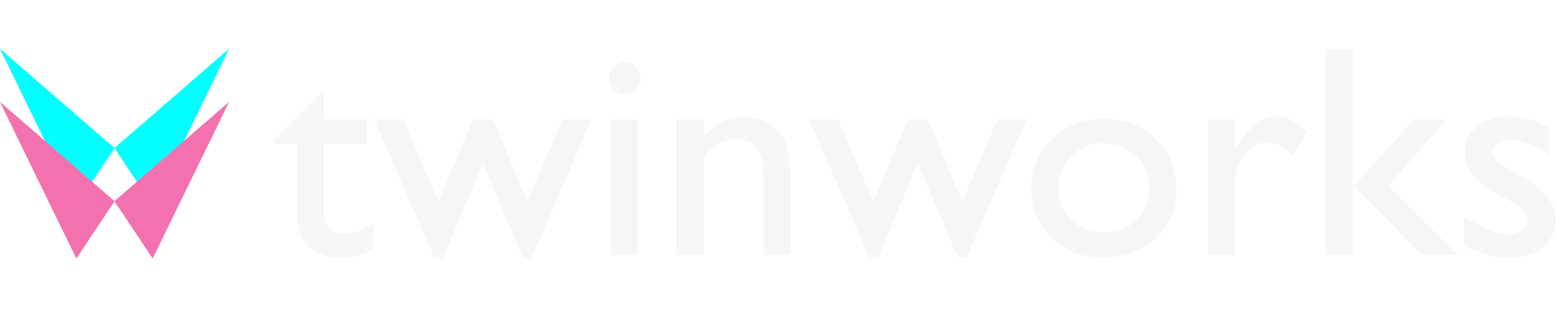 TwinWorks